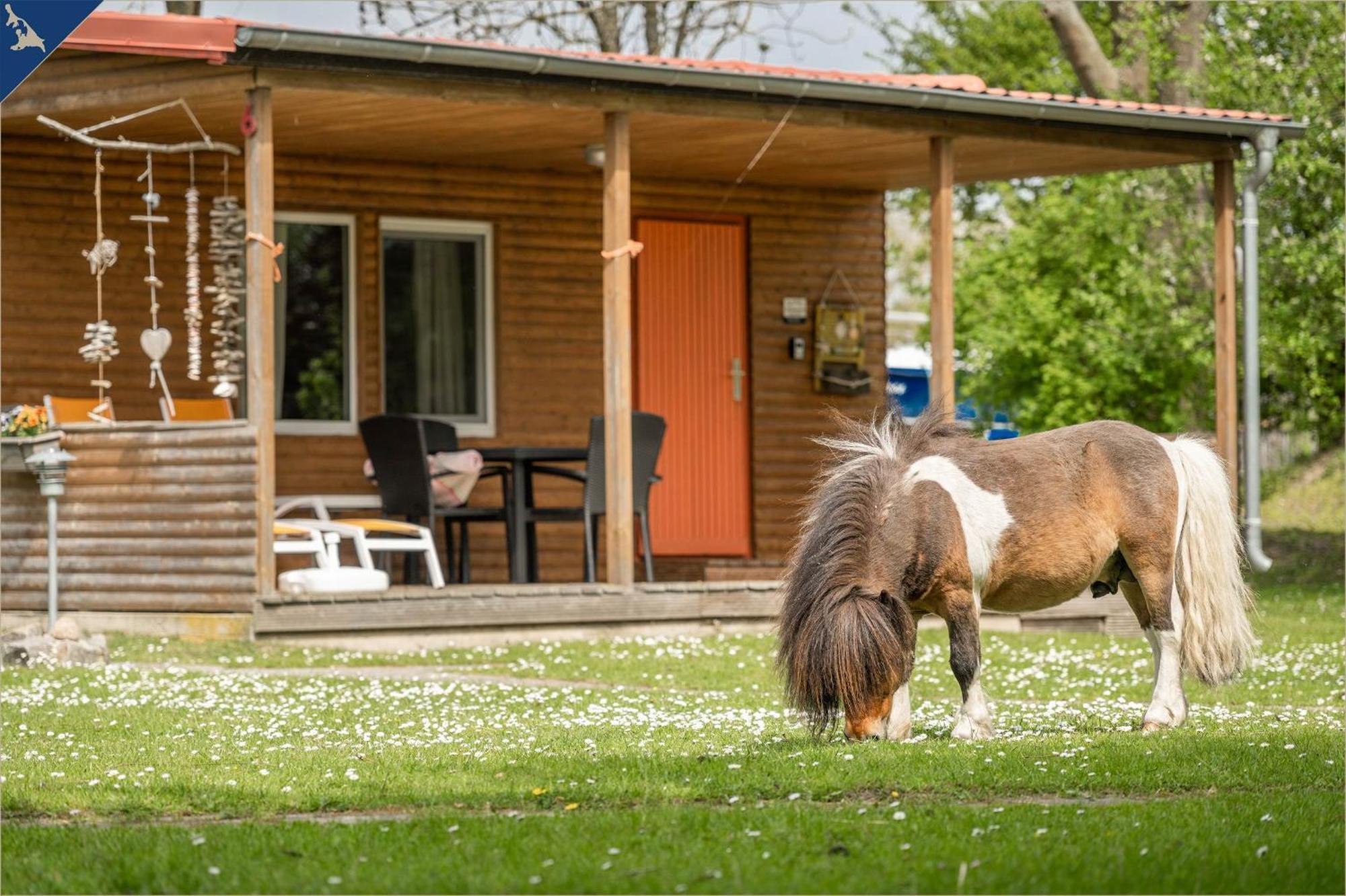 Ferienresort Moewenort Luetow Bungalow 1 Lutow Zewnętrze zdjęcie